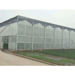 中空玻璃温室-青州瀚洋农业-中空玻璃温室报价