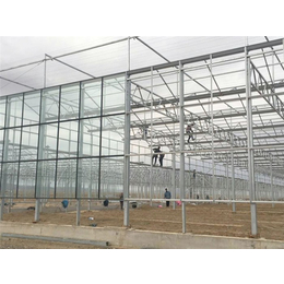中空玻璃温室-青州瀚洋农业-自动化中空玻璃温室
