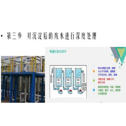 石墨清洁器-清洁器-环保设备-立顺鑫(图)