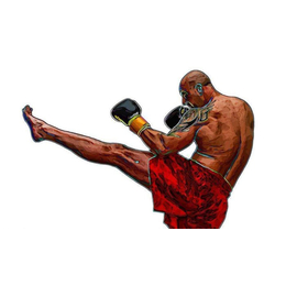 拳击- 巴西柔术健身-拳击手套图片
