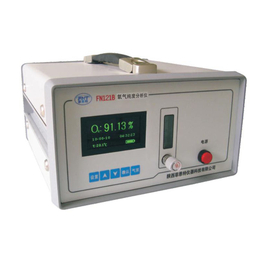 菲恩特FN121B便携式氧气纯度分析仪 高纯氧分析仪