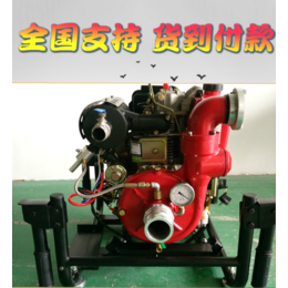 上海萨登2.5寸小型柴油自吸消防水泵
