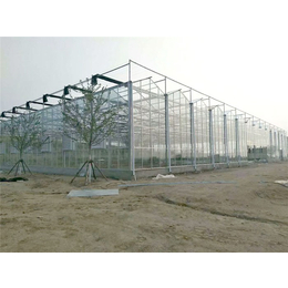中空玻璃温室-青州瀚洋农业-中空玻璃温室造价