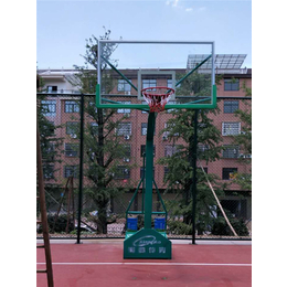 单臂篮球架-湘奥体育【不断*】-温州篮球