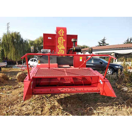 圣隆机械(图)-鲜玉米收获机-玉米收获机