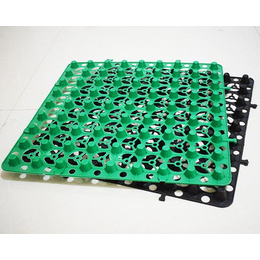 东诺工程材料(图)-塑料蓄排水板出售-塑料蓄排水板