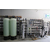 苏州水处理有限公司食品饮料行业纯水设备2.5t全自动设备缩略图1