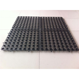 卷材排水板-正信工程材料-卷材排水板厂家
