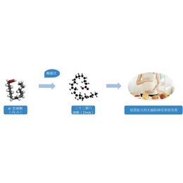 混合型凝胶糖果厂家*-阜阳混合型凝胶糖果-普正生物诚信经营