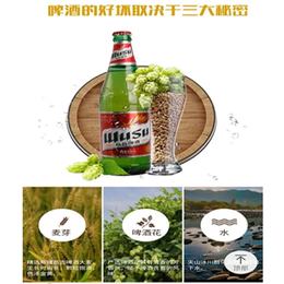 扎啤安徽代理-南京阿朗斯特酒业厂家-连云港代理