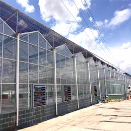 设计安装连栋玻璃温室大棚 智能连体玻璃大棚建设缩略图