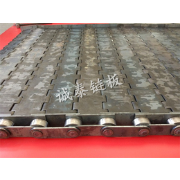 6mm厚碳钢链板-蜀山区碳钢链板-宁津诚泰(在线咨询)