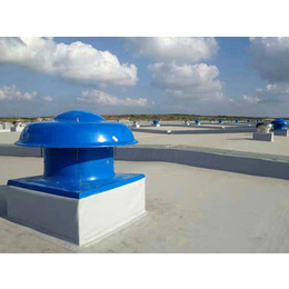 滁州玻璃钢屋顶风机-瑞星风机厂家-玻璃钢屋顶风机设计安装
