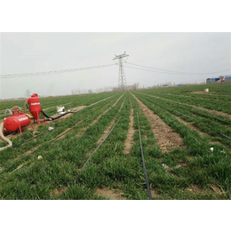 农田喷灌-果园灌溉工程设备厂家-襄阳喷灌