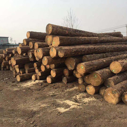 工程用建筑木方价格-广西建筑木方-广西钦州汇森木业