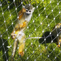 动物园不锈钢绳网 猴子笼舍网缩略图