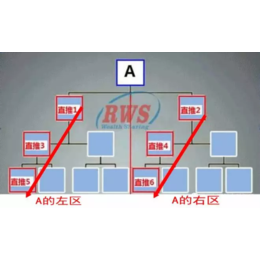 绿叶奖金制度软件 双轨奖金制度软件 *结算软件