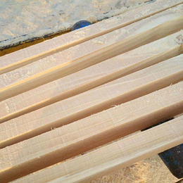 国通木材厂(图)-工程木方加工市场-木方加工