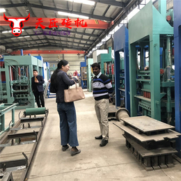 南京石粉砖机-天匠机械石粉制砖设备-石粉砖机厂家