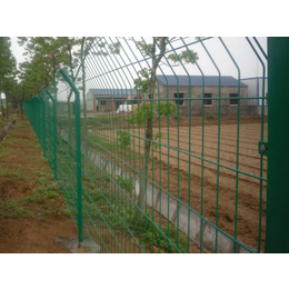 养殖网围栏(多图)-学校绿色围栏网-南京绿色围栏