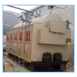 河南永兴锅炉集团供应2吨卧式生物质热水锅炉