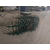河北华久锌钢护栏网 供应护栏网批发 锌钢护栏网厂家缩略图4