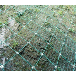 厂家*    边坡防护网  防风抑尘网  护栏网  隔离栏 