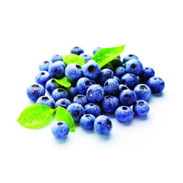 进口美国蓝莓干到天津港报关需要资料 
