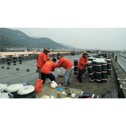 喜盛防水材料有限公司-葫芦岛城市道路SBS防水材料