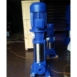 新楮泉水泵厂-沧州25CDLF2-50立式多级泵