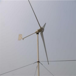 *提倡新能源风力发电机 自产自销微型低速风力发电机