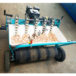 大蒜播种机-潾钰奇机械(在线咨询)-全自动大蒜播种机