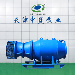 天津中蓝潜水泵 雪橇式潜水轴流泵厂家