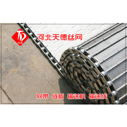 天德运输网带(在线咨询)-郴州不锈钢传动带-钉子不锈钢传动带