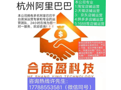 浙江合商盈科技有限公司