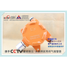上海永康工业探测器YK-6000F进口芯片****检测*