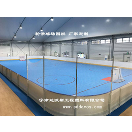 台州60-30冰球场围栏界墙成功案例分析缩略图