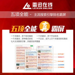 网络推广-烟台雷迅营销方案策划-搜索引擎网络推广运营商
