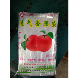 苹果套袋-莒县常兴塑膜-供应苹果套袋