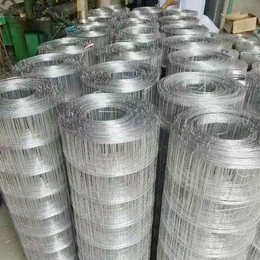 广东年发厂家大量现货镀锌电焊网墙面批荡防裂网挂墙铁丝网