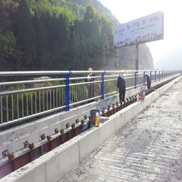 山东龙哲防撞护栏-荆州桥梁灯光栏杆