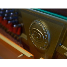 普拉姆伯格钢琴-长沙蓝音现货全新钢琴-普拉姆伯格钢琴JP-190D