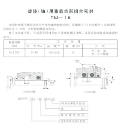 旋转轴用重载齿形式组合密封TB3-IB  高压旋转密封