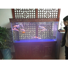 济南市奥体中心鱼缸清洗换水