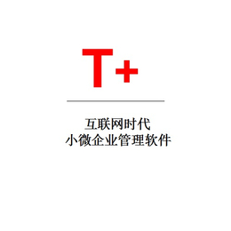 用友t6-乐柠(在线咨询)-莆田用友