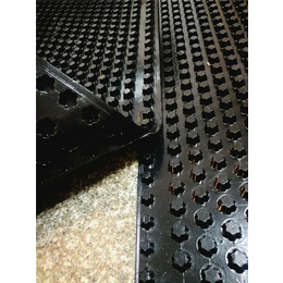 塑料排水板厂家-PVC排水板-华翊建筑*(查看)