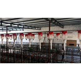 养猪料线供应商-牧鑫养殖设备(在线咨询)-滁州养猪料线