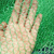 绿色盖土遮阳网 3针盖土网价格 密织盖土网缩略图1
