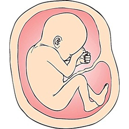揭阳胎儿可以做亲子鉴定吗