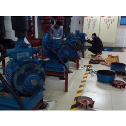 通州区水泵维修进口国产水泵电机常年维护改造维修缩略图
